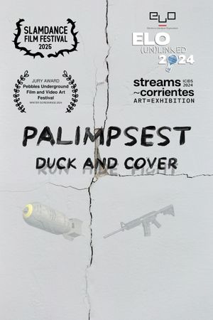 Palimpsest's poster