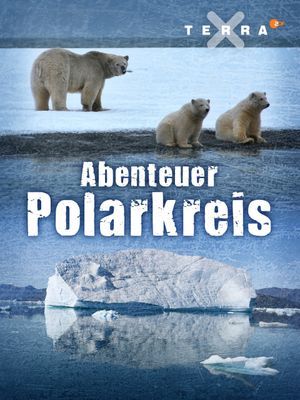 Abenteuer Polarkreis's poster