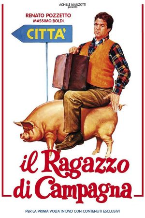 Il ragazzo di campagna's poster