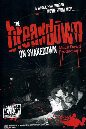 The Breakdown on Shakedown's poster