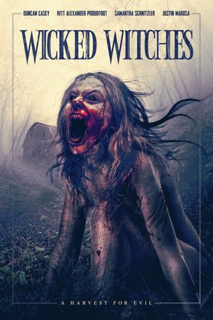 Wicked Witches's poster