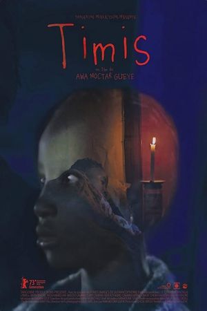 Dusk's poster
