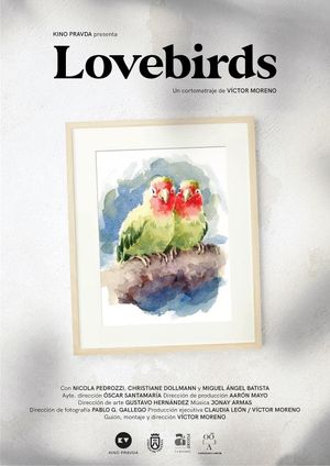 Lovebirds's poster