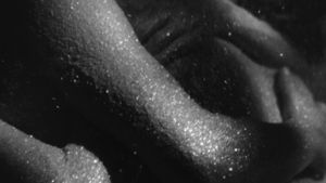 Hiroshima Mon Amour's poster