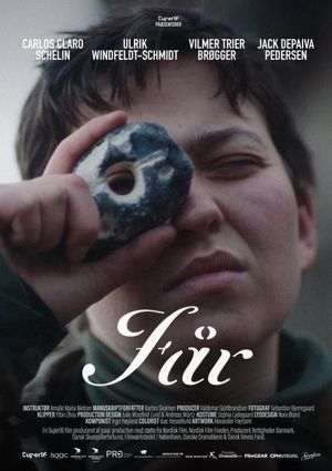 Får's poster
