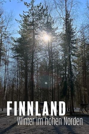 Finnland - Winter im hohen Norden's poster