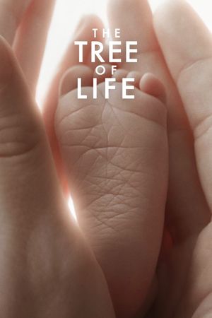 The Tree of Life's poster image