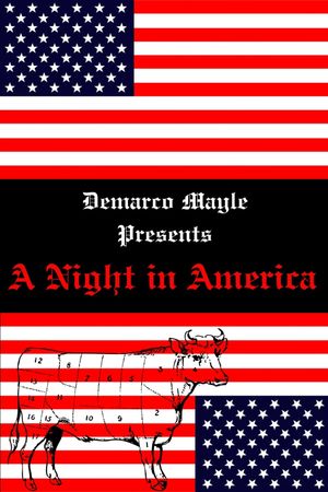 A Night in America's poster