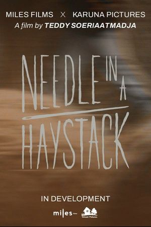 Needle In A Haystack's poster