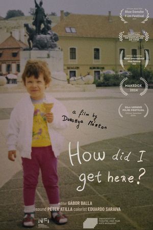 How did I get here?'s poster