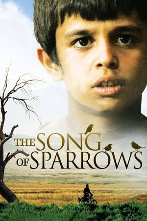 The Song of Sparrows's poster