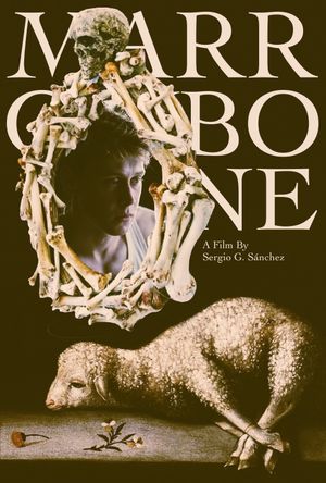 Marrowbone's poster