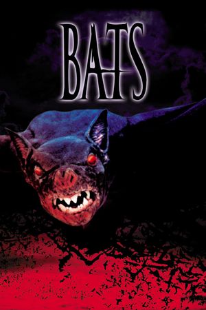 Bats's poster