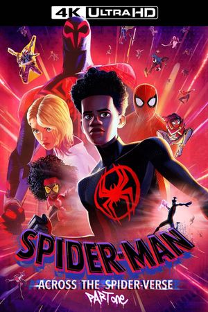 Spider-Man: Across the Spider-Verse's poster