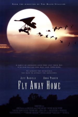 Fly Away Home's poster