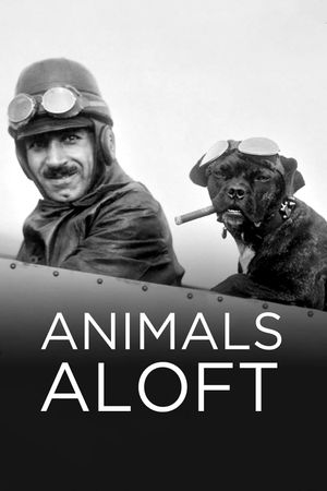 Animals Aloft's poster
