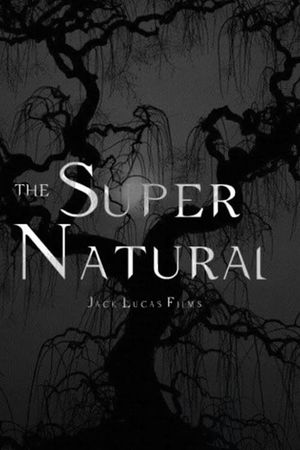 The Supernatural's poster