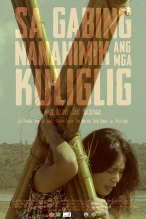 Sa gabing nanahimik ang mga kuliglig's poster
