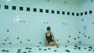 Arachnids's poster