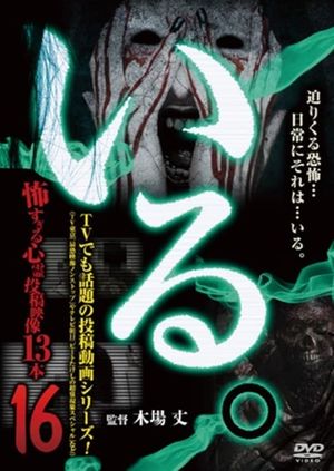 「Iru.」~ Kowasugiru Tōkō Eizō 13-hon ~ Vol.16's poster