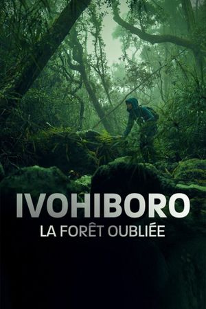 Ivohiboro, la forêt oubliée's poster