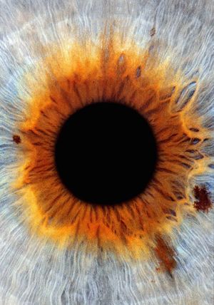 I Origins's poster