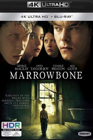 Marrowbone's poster