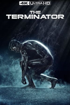 The Terminator's poster