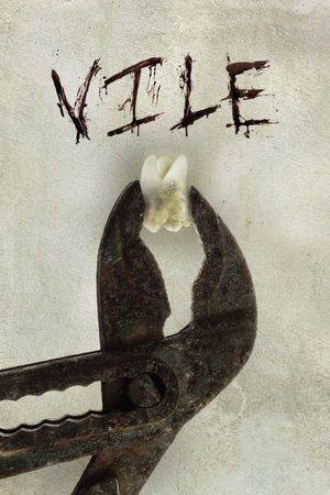 Vile's poster