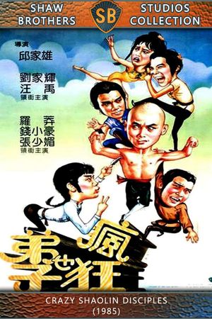 Crazy Shaolin Disciples's poster