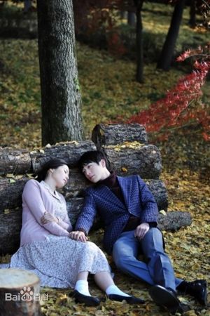 하늘재 살인사건's poster