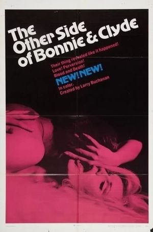 The Other Side of Bonnie and Clyde's poster