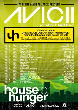 Avicii on Tour's poster image