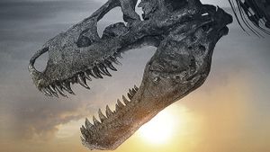 Dinosaur 13's poster