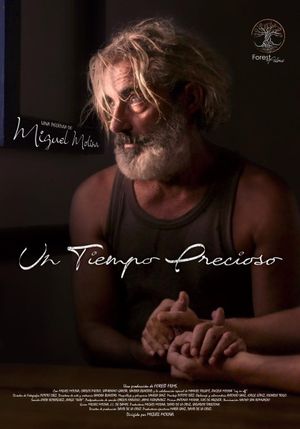 Un tiempo precioso's poster