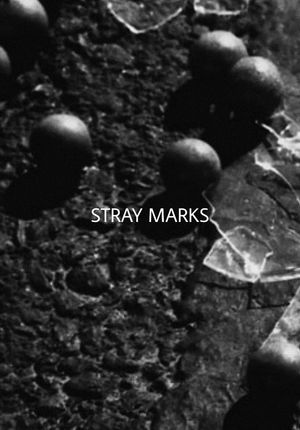 Stray Marks's poster