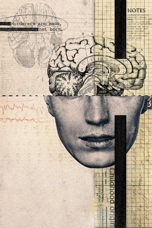 Crazy, Not Insane's poster