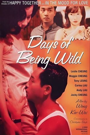 Days of Being Wild's poster
