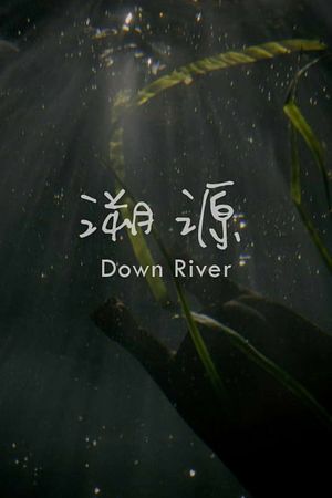 Down River's poster