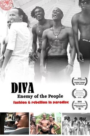 Diva: Enemy of the People's poster