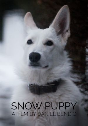 Snow Puppy's poster