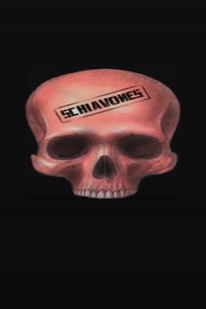 Schiavones's poster
