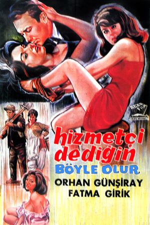 Hizmetçi Dedigin Böyle Olur's poster