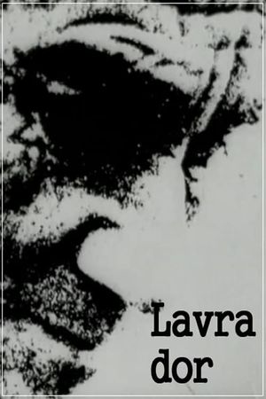 Lavra Dor's poster