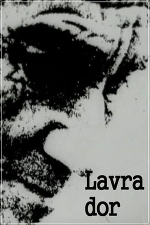 Lavra Dor's poster image