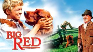 Big Red's poster