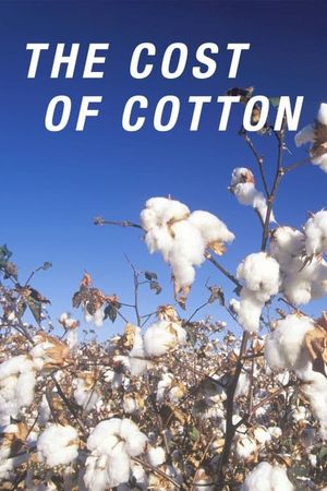 The Cost of Cotton's poster