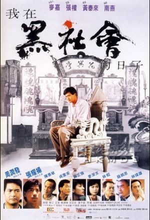 Triads: The Inside Story's poster