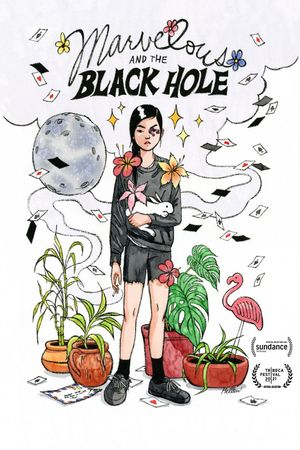 Marvelous and the Black Hole's poster