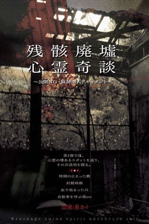 Remnants: Ruins of Spirit Tales - Unreleased Footage & Infiltration Document's poster